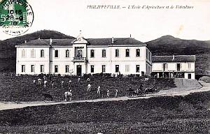 PHILIPPEVILLE - ECOLE AGRICULTURE ET VITICULTURE - 1910